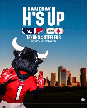 Image post by @texanstoro1 on Instagram