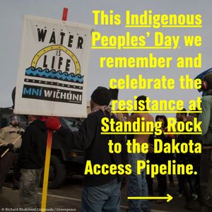 Image post by @greenpeaceusa on Instagram