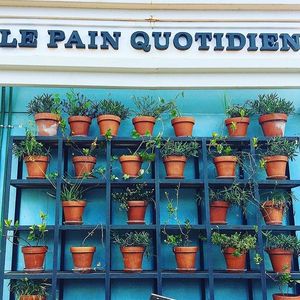 Image post by @lepainquotidienus on Instagram