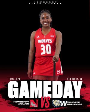 Image post by @newberrysports on Instagram