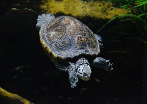 Image post by @ephemiamaria on Instagram