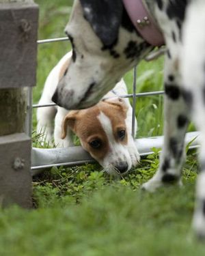 Image post by @snaffle_it on Instagram