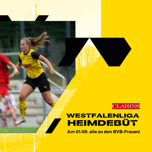 Image post by @BVB on Twitter