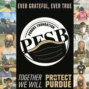 Image post by @pfsb_ on Instagram