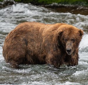 Image post by @nationalparkservice on Instagram