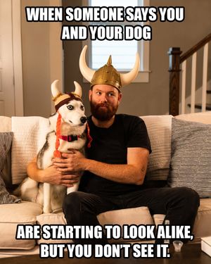 Image post by @evolvepetfood on Instagram