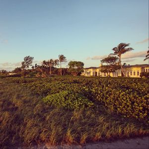 Image post by @christiesrealestate on Instagram