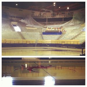 Image post by @spiderathletics on Instagram