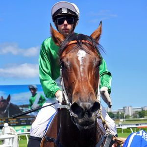 Image post by @australianturfclub on Instagram