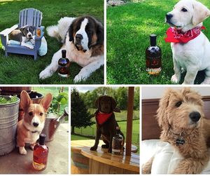 Image post by @pendletonwhisky on Instagram
