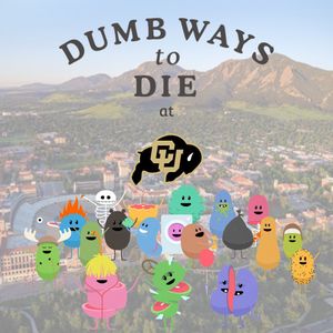 Image post by @cubuffschicks on Instagram