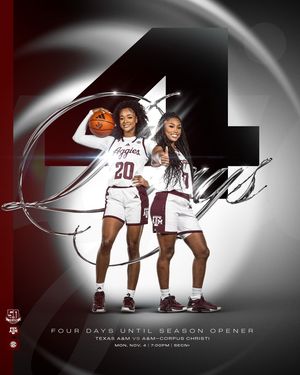 Image post by @aggiewbb on Instagram