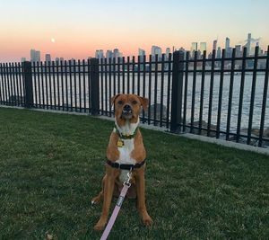 Image post by @aliontherun1 on Instagram