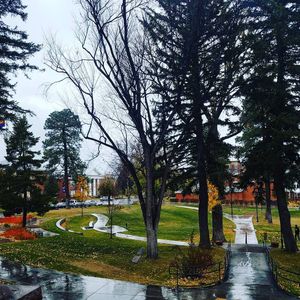 Image post by @nauflagstaff on Instagram