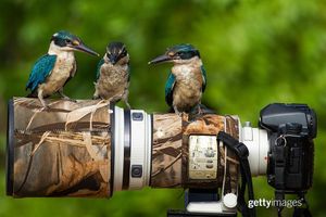 Image post by @gettyimages on Instagram