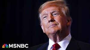 Video post by @msnbc on YouTube