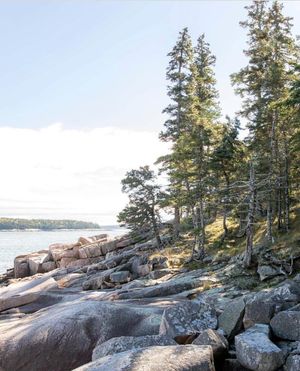 Image post by @themainemag on Instagram