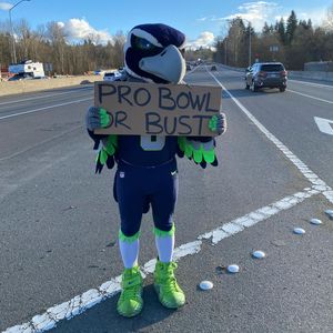 Image post by @blitztheseahawk on Instagram