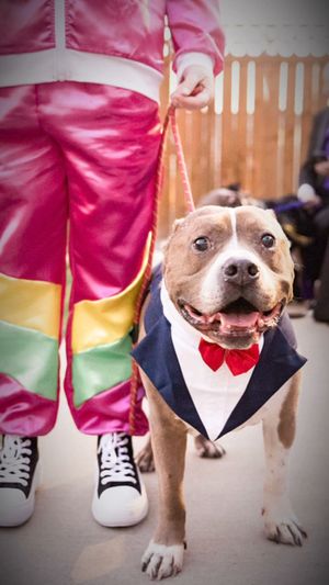 Video post by @LiveLikeRoo on Facebook