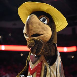 Image post by @marylandterrapins on Instagram