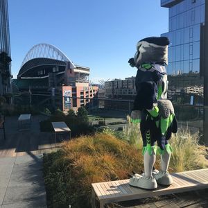 Image post by @blitztheseahawk on Instagram