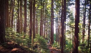 Image post by @tourismabbotsford on Instagram