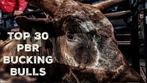 Video post by @pbr on YouTube
