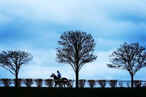 Image post by @michaelmreaves on Instagram