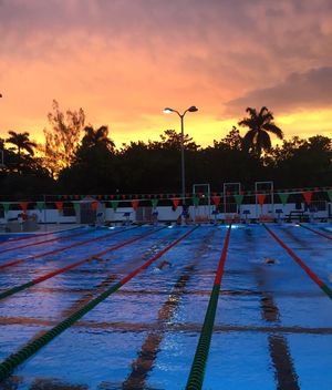 Image post by @canesswimdive on Instagram
