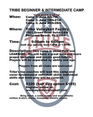 Image post by @mytribevolleyball on Instagram