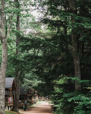 Image post by @themainemag on Instagram