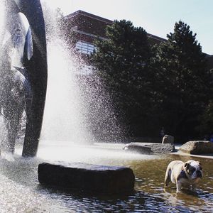 Image post by @seattleu on Instagram