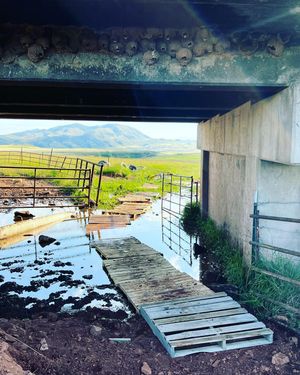 Image post by @focofondo on Instagram