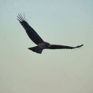 Image post by @mmhammond on Instagram