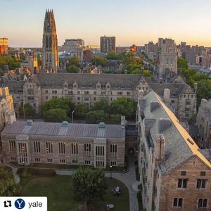 Image post by @yalefieldhockey on Instagram