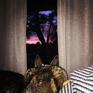 Image post by @rememberthe1 on Instagram