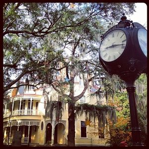Image post by @collegeofcharleston on Instagram