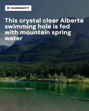 Image post by @curiocitycalgary on Instagram