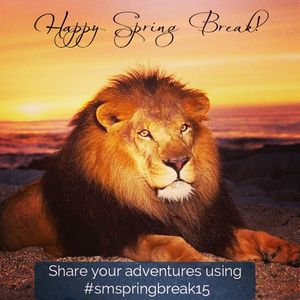 Image post by @smlions on Instagram