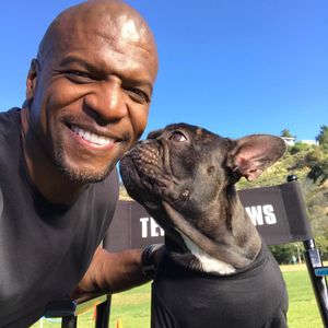 Image post by @animalplanet on Instagram