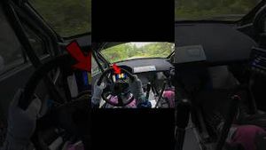 Video post by @thehoonigans on YouTube