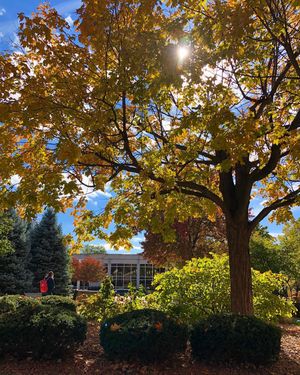 Image post by @olivetnazarene on Instagram