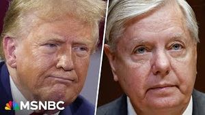 Video post by @msnbc on YouTube