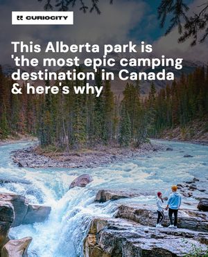 Image post by @curiocitycalgary on Instagram