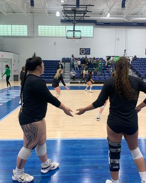 Image post by @meangreenvb on Instagram