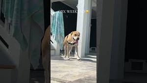 Video post by @danielleclardy on YouTube