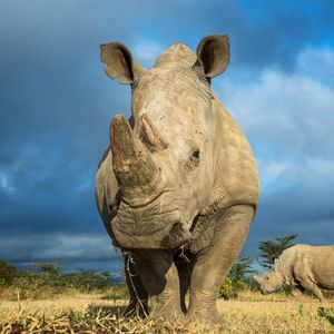 Image post by @discovery on Instagram