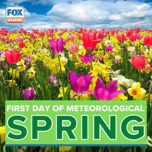 Image post by @foxweather on Instagram