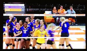 Image post by @lsubeachvb on Instagram