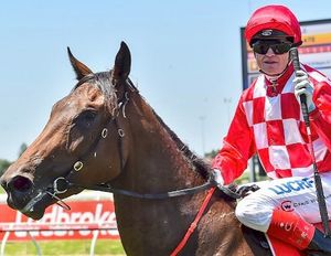 Image post by @australianturfclub on Instagram